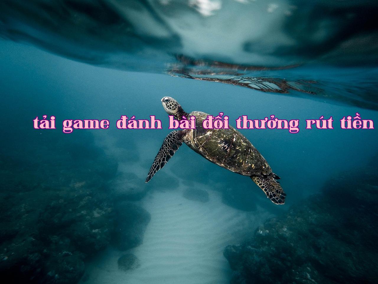 /imgposts/1d72hkdq.jpg